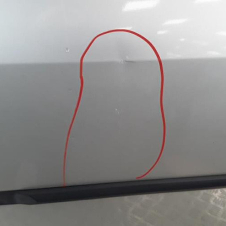 Porte arriere gauche DACIA LOGAN 1