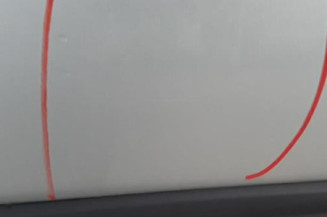 Porte arriere gauche DACIA LOGAN 1 Photo n°3