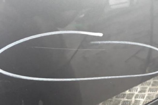 Porte arriere droit VOLKSWAGEN GOLF 5 Photo n°4