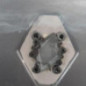 Malle/Hayon arriere RENAULT SCENIC 2
