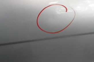 Porte arriere gauche CITROEN C5 1 Photo n°3