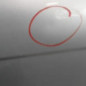 Porte arriere gauche CITROEN C5 1