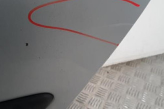 Porte arriere gauche CITROEN C5 1 Photo n°4
