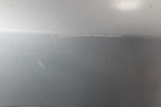 Porte avant droit OPEL MERIVA A Photo n°4