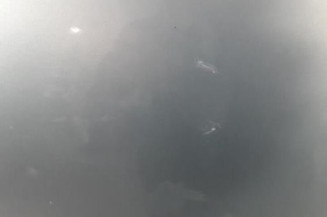 Porte avant gauche RENAULT ESPACE 3