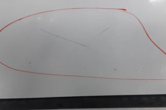 Porte avant gauche RENAULT CLIO 2