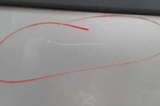 Porte arriere gauche RENAULT MEGANE 2