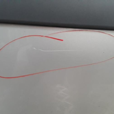 Porte arriere gauche RENAULT MEGANE 2