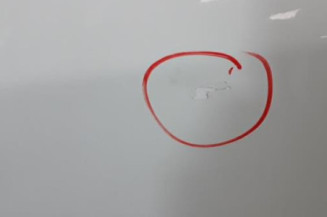 Porte avant gauche FIAT GRANDE PUNTO Photo n°3