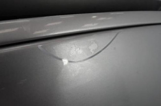 Capot CITROEN XSARA PICASSO Photo n°6