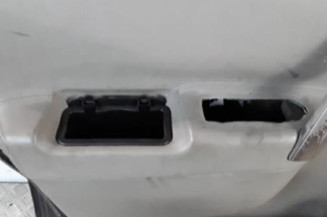 Porte avant gauche RENAULT GRAND SCENIC 2 Photo n°3