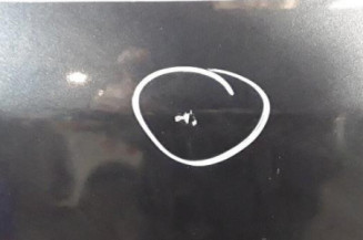 Porte avant gauche RENAULT SCENIC 2 Photo n°3