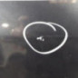 Porte avant gauche RENAULT SCENIC 2