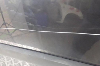 Porte avant gauche RENAULT SCENIC 2 Photo n°5