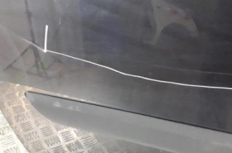 Porte avant gauche RENAULT SCENIC 2 Photo n°6