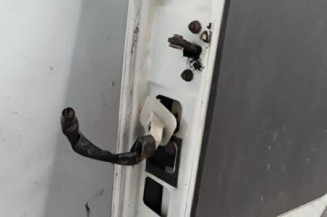 Porte avant droit NISSAN CABSTAR 1 Photo n°8