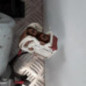 Cremaillere assistee RENAULT TWINGO 3