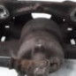 Etrier avant droit (freinage) CITROEN C1 1