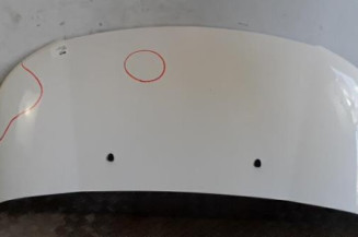 Capot CITROEN C3 PICASSO Photo n°1