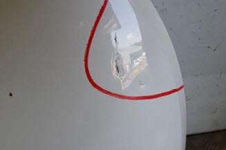 Capot CITROEN C3 PICASSO Photo n°4