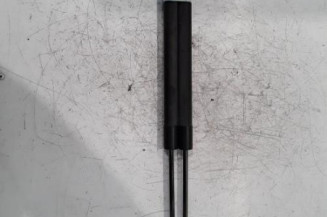 Verin de coffre RENAULT SCENIC 3 Photo n°1
