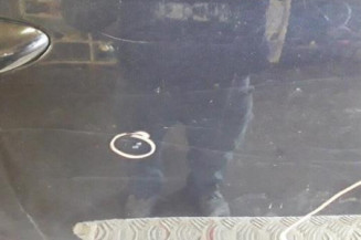 Porte arriere droit VOLKSWAGEN PASSAT 5 Photo n°6
