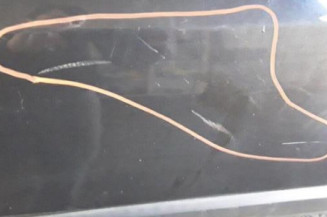 Porte avant gauche PEUGEOT 407