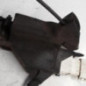 Serrure avant gauche CITROEN C4 1
