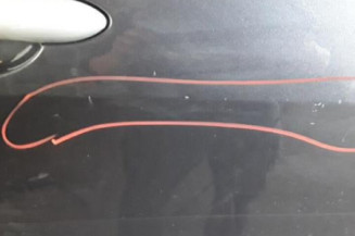 Porte avant droit RENAULT MEGANE 2