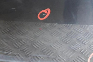 Porte avant droit RENAULT MEGANE 2 Photo n°5