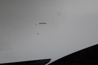 Porte avant droit PEUGEOT BOXER 2 Photo n°4