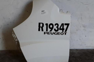 Aile avant gauche PEUGEOT BOXER 3 Photo n°1