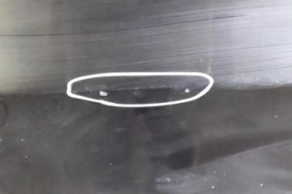 Porte avant gauche BMW SERIE 3 E90
