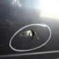 Pare choc arriere AUDI A6 2