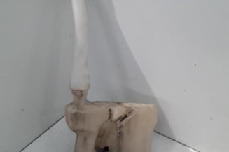 Vase de lave glace RENAULT MASTER 3 Photo n°1