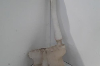 Vase de lave glace RENAULT MASTER 3