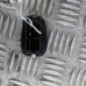 Interrupteur de leve vitre arriere droit CITROEN C3 1