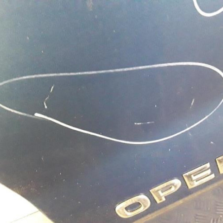 Porte de coffre gauche OPEL VIVARO 1