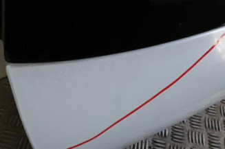 Malle/Hayon arriere RENAULT CLIO 2 Photo n°3