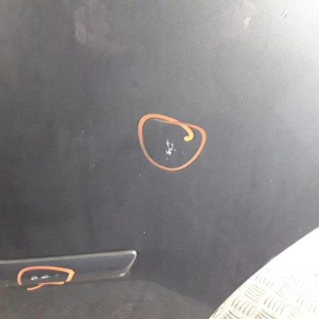 Porte arriere gauche FORD C-MAX 1