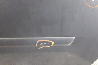 Porte arriere gauche FORD C-MAX 1 Photo n°3