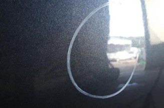 Porte avant gauche FORD C-MAX 1 Photo n°3