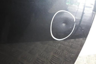 Porte avant gauche AUDI A3 1 Photo n°5
