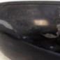 Retroviseur droit FORD FIESTA 5