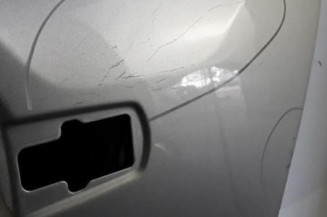 Porte arriere gauche CITROEN C3 PICASSO Photo n°6