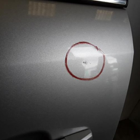 Porte arriere gauche OPEL ZAFIRA B