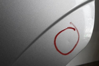 Porte arriere gauche OPEL ZAFIRA B Photo n°4