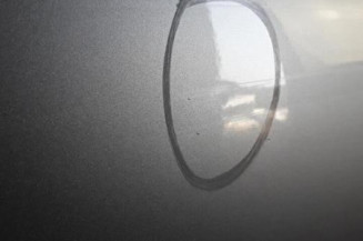 Porte avant gauche BMW SERIE 3 E46