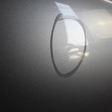 Porte avant gauche BMW SERIE 3 E46