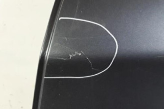 Porte arriere gauche CITROEN C5 2